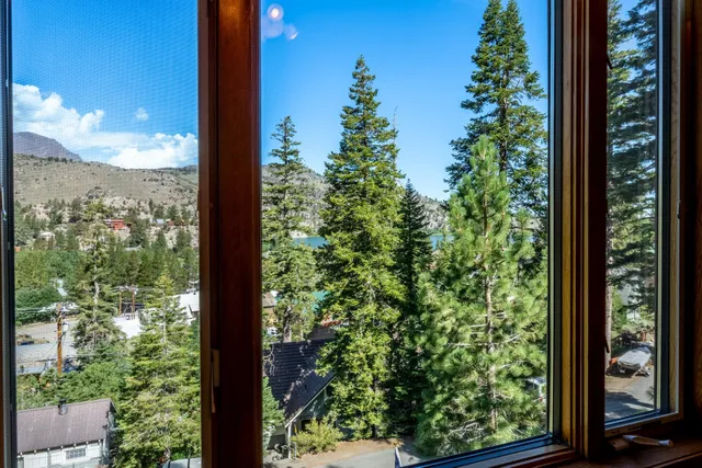 a view of a garden from a window