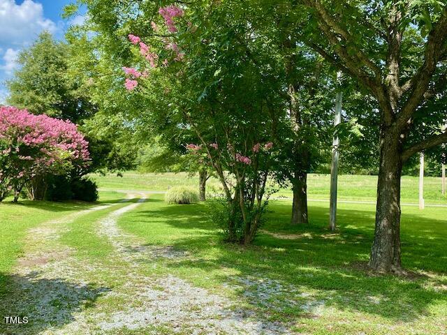 454 Mt Harmony Church Road Timberlake, NC 27583 - Photo 54 of 77 Lookin down towards front driveway