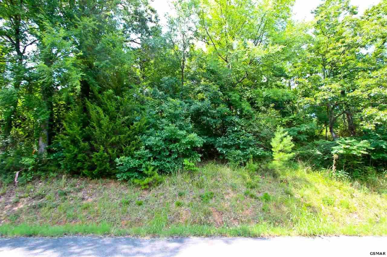 1 Tomahawk Ridge Road Cosby, TN 37722 - Photo 11 of 17 Gallery Image 11