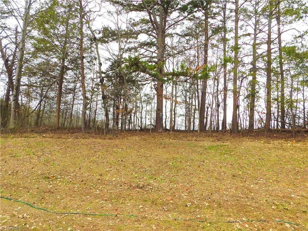 1070 Gutter Road Walnut Cove, NC 27052 - Photo 12 of 23