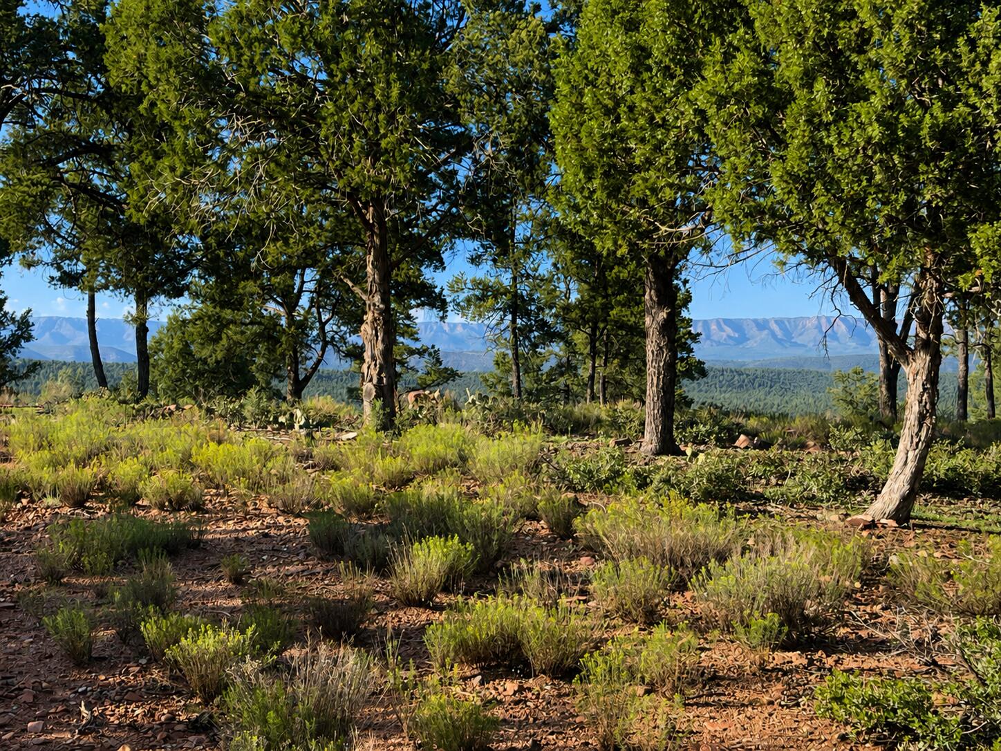 701 North Graham Ranch Road Payson, AZ 85541 - Photo 2 of 18 Gallery Image 2