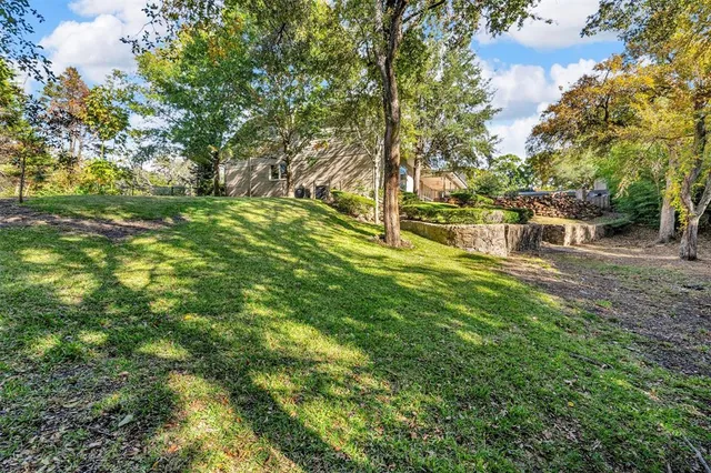 a view of yard with green space