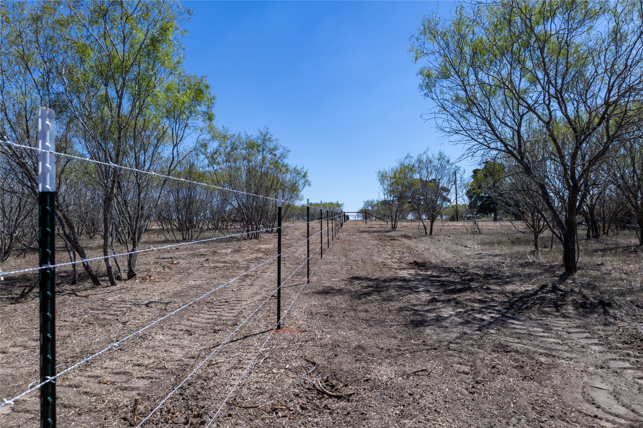 4005 Old Colony Line Road Dale, TX 78616 - Photo 6 of 8 a view of a backyard