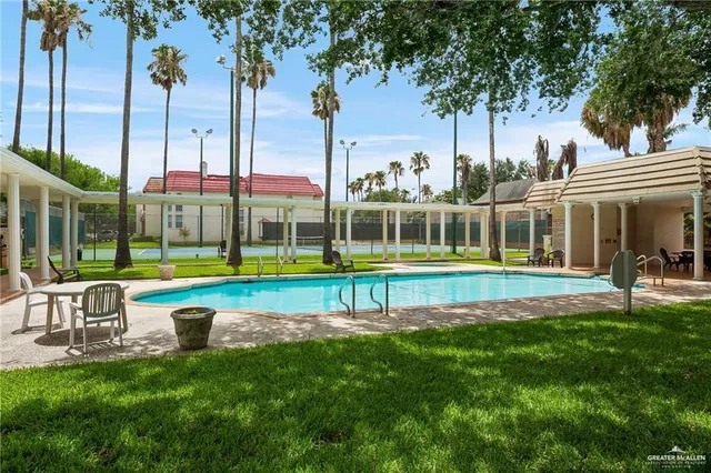 a view of swimming pool with lawn chairs and palm tree