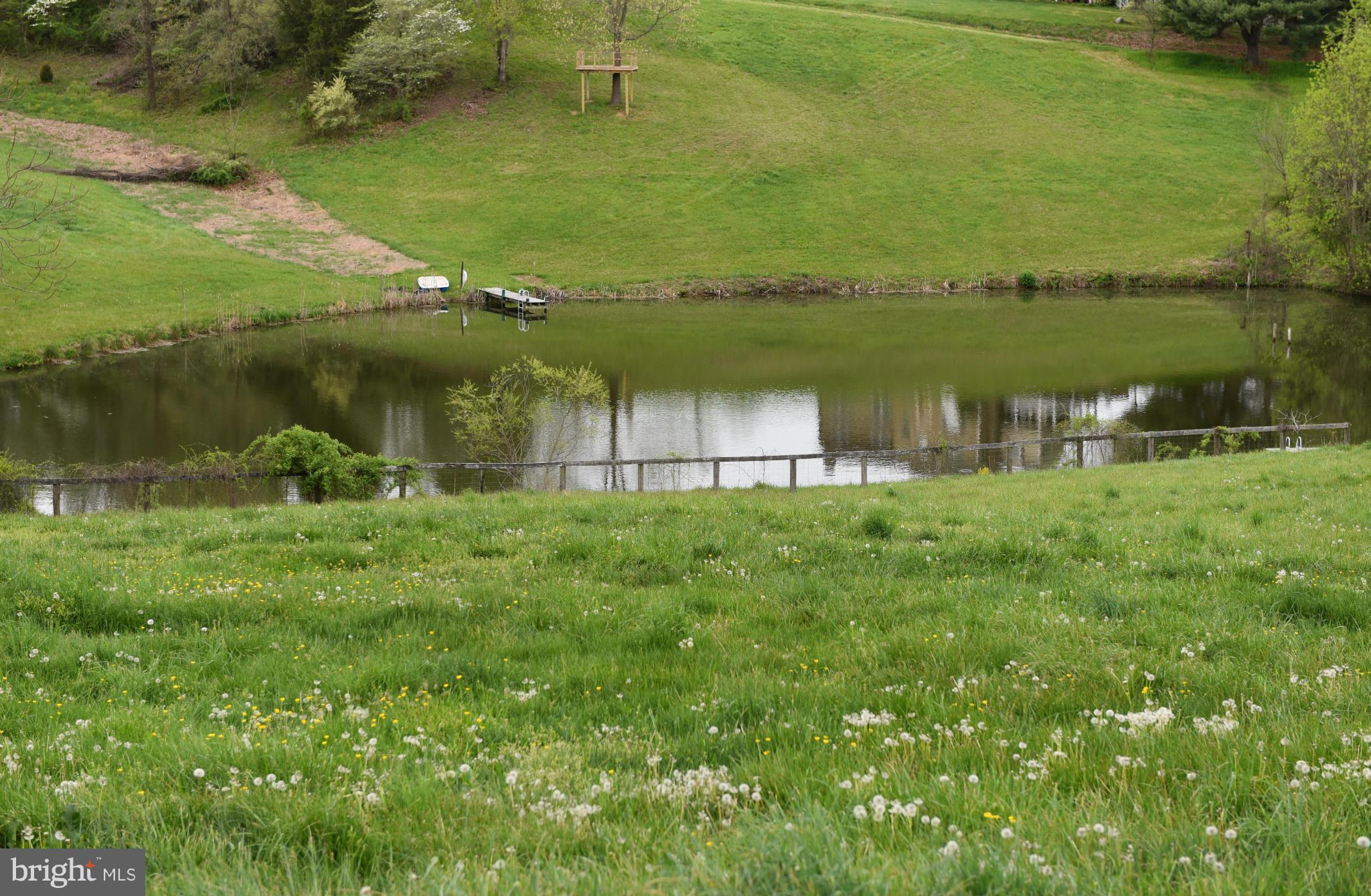 38802 Hughesville Road Hamilton, VA 20158 - Photo 25 of 30 Water fowl, animals and humans enjoy stocked pond
