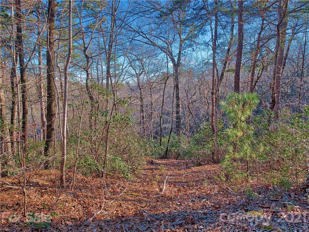 44 O O'Brien Road Lake Lure, NC 28746 - Photo 1 of 15 Gallery Image 1