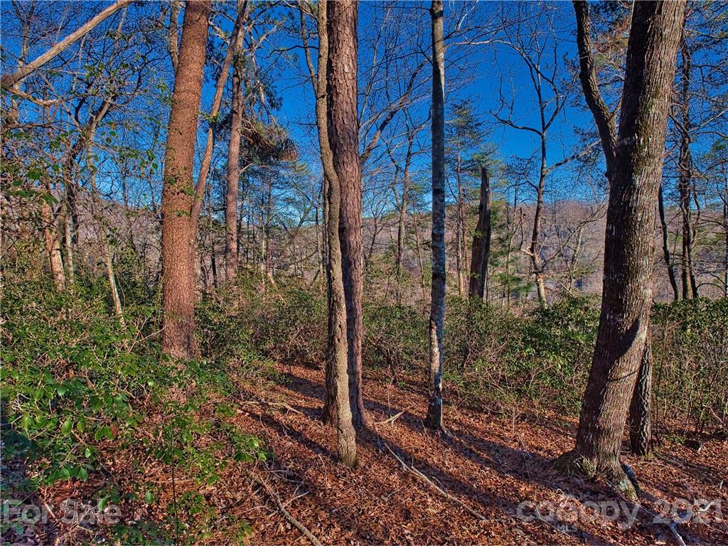 44 O O'Brien Road Lake Lure, NC 28746 - Photo 3 of 15 Gallery Image 3