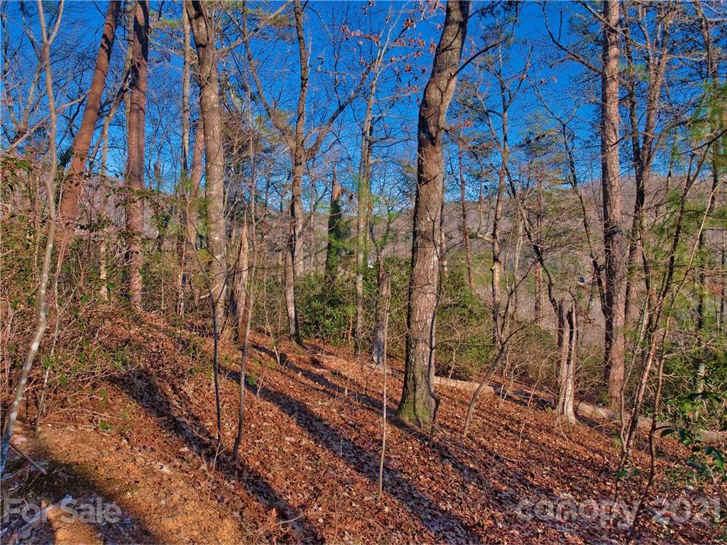 44 O O'Brien Road Lake Lure, NC 28746 - Photo 4 of 15 Gallery Image 4