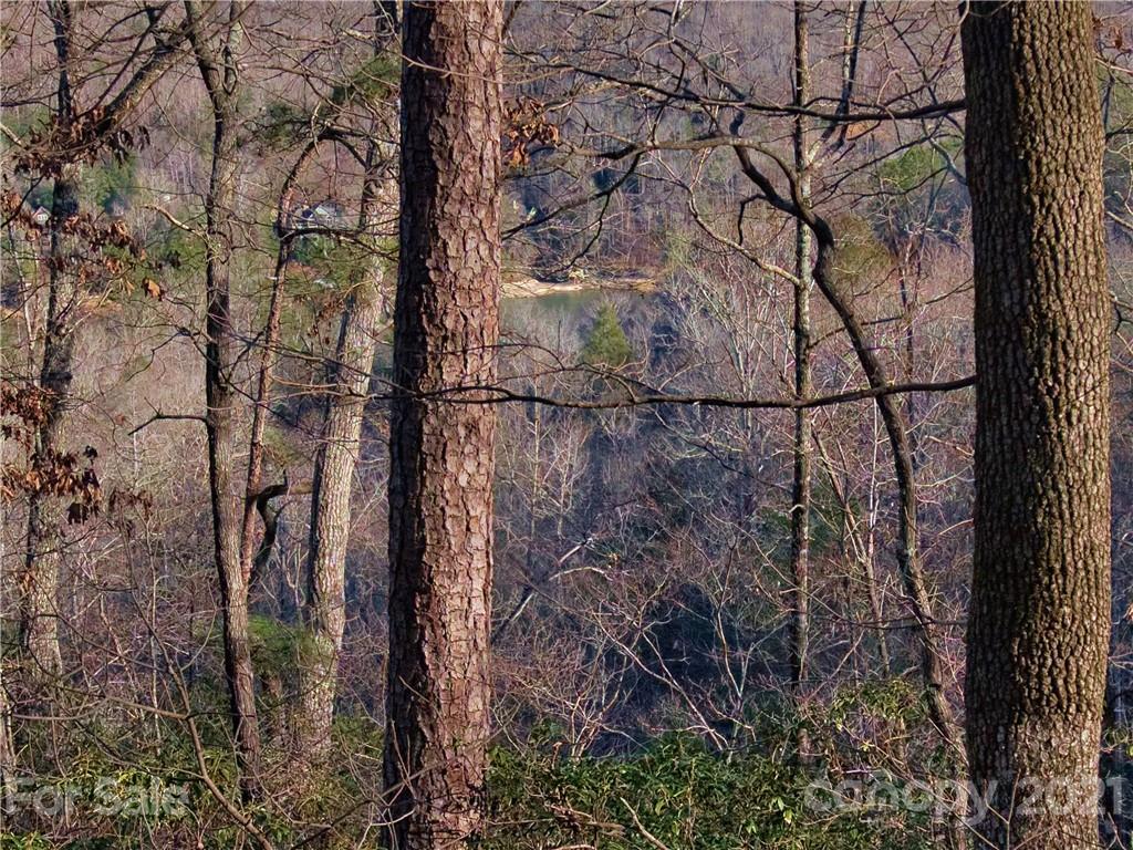 44 O O'Brien Road Lake Lure, NC 28746 - Photo 5 of 15 Gallery Image 5