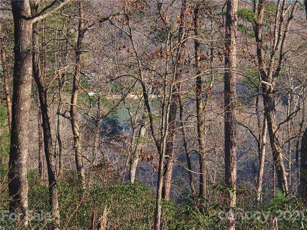 44 O O'Brien Road Lake Lure, NC 28746 - Photo 6 of 15 Gallery Image 6