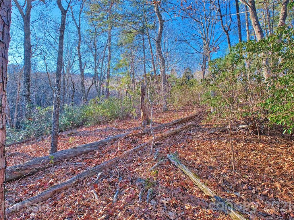 44 O O'Brien Road Lake Lure, NC 28746 - Photo 9 of 15 Gallery Image 9