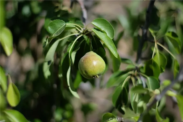 $489,000 | 3305 Oakwood Drive, Julian, CA 92036