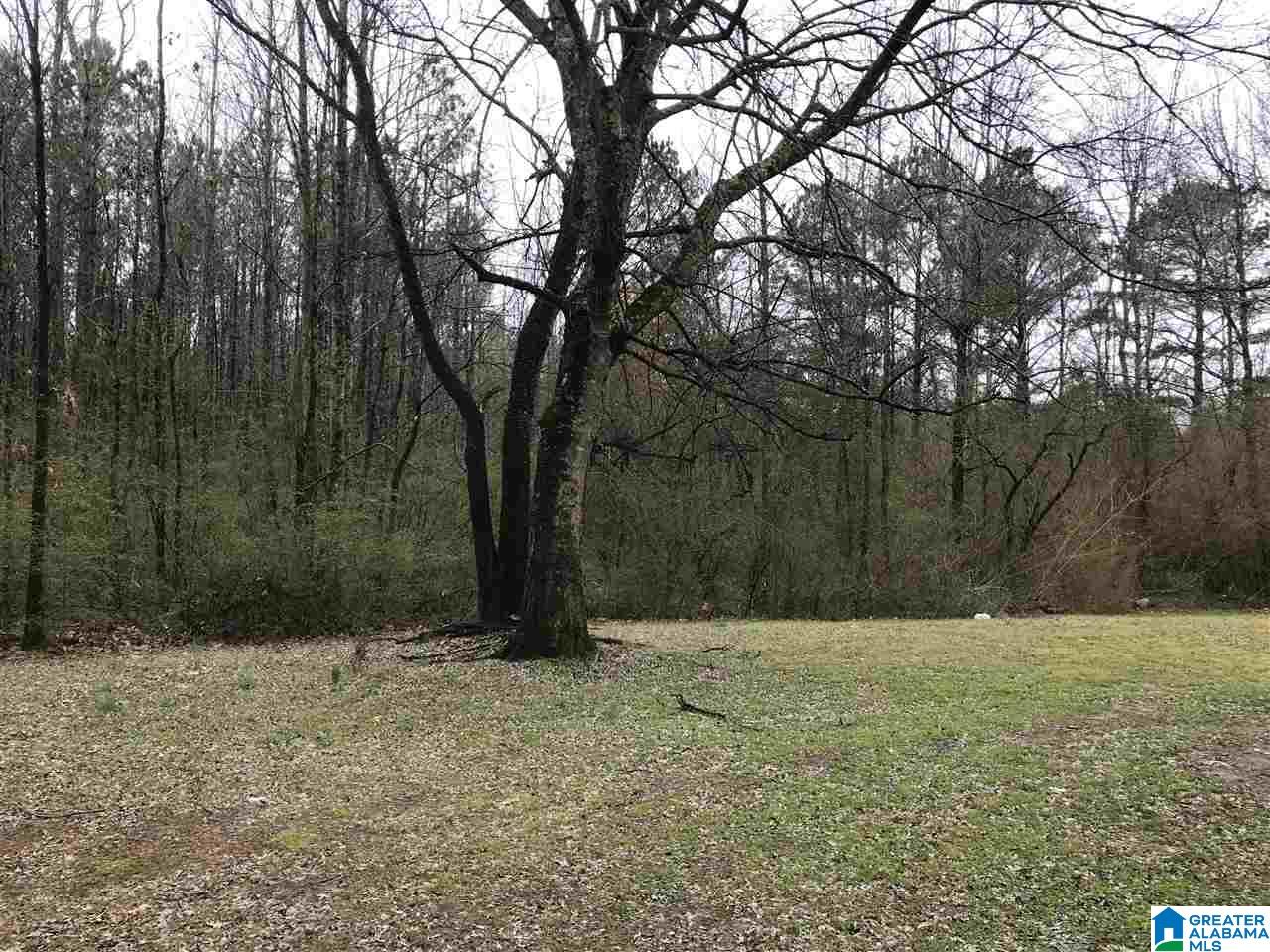 9236 Central Road Warrior, AL 35180 - Photo 10 of 10