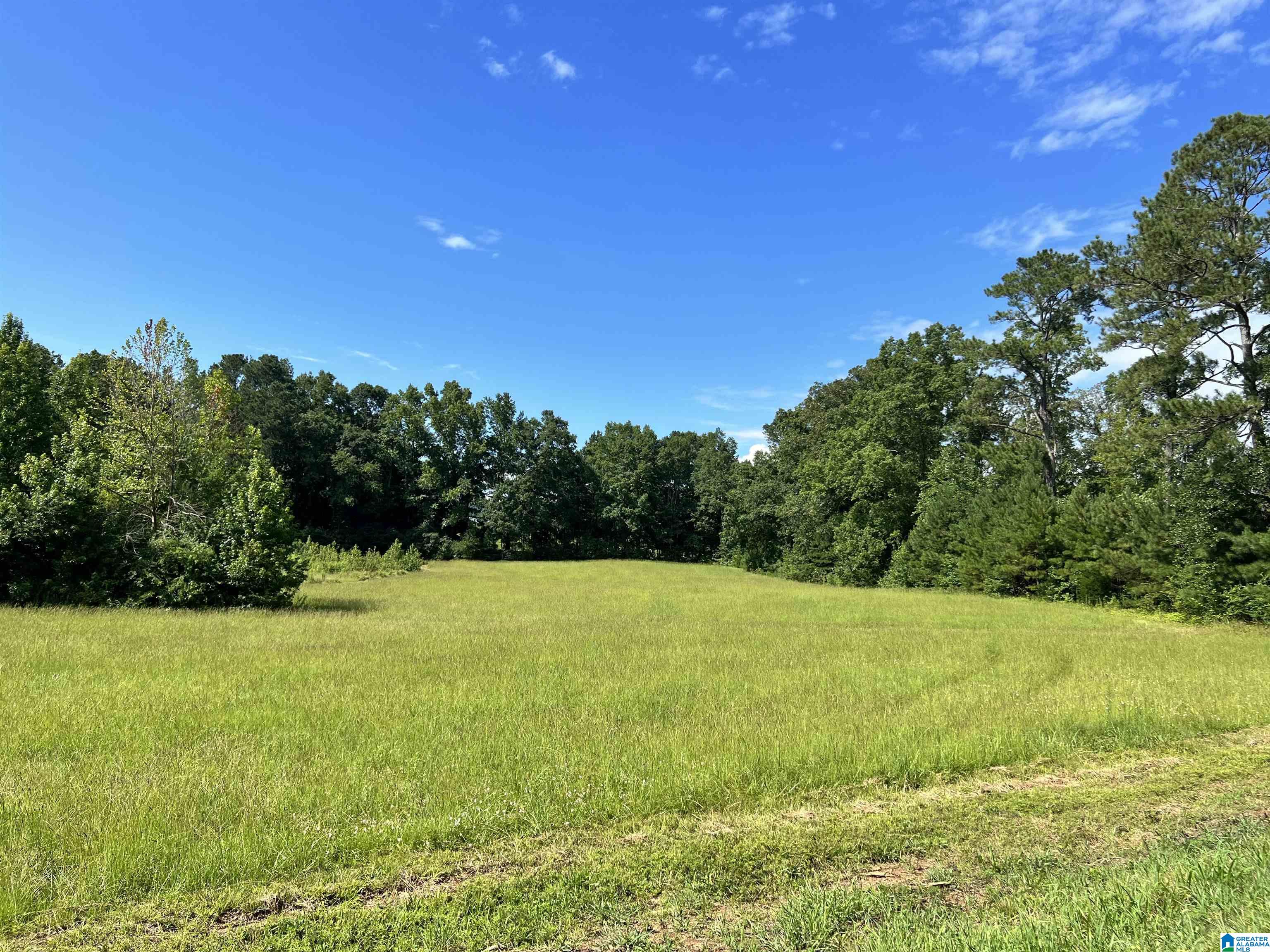 11344 Tabor Road Collinsville, AL 35961 - Photo 6 of 6