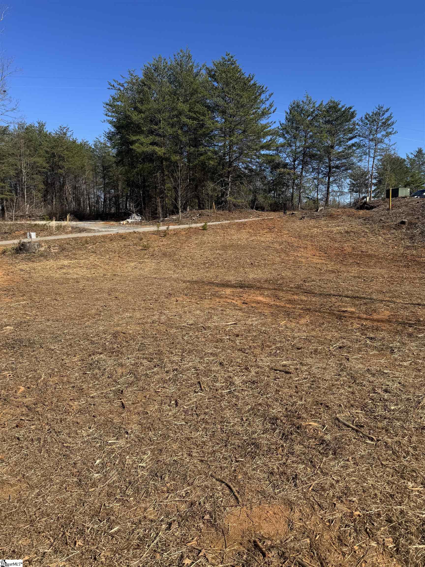 21 Sawblade Ridge Marietta, SC 29661 - Photo 3 of 5