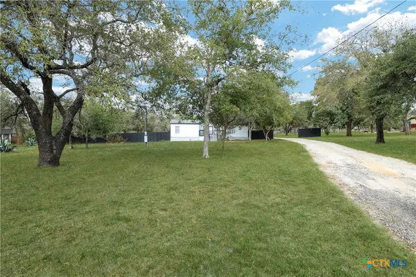 a view of a park with large trees
