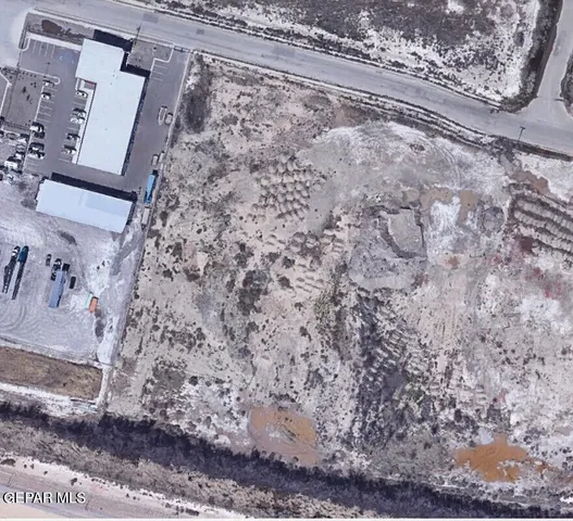 a view of a dry yard