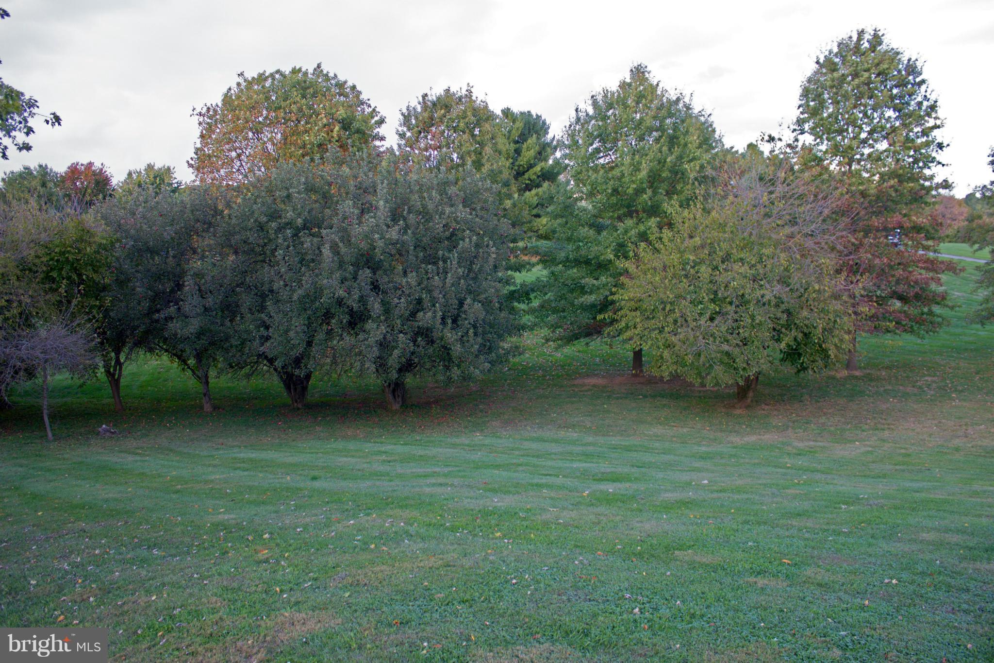 5132 Perry Road Mount Airy, MD 21771 - Photo 30 of 30 View