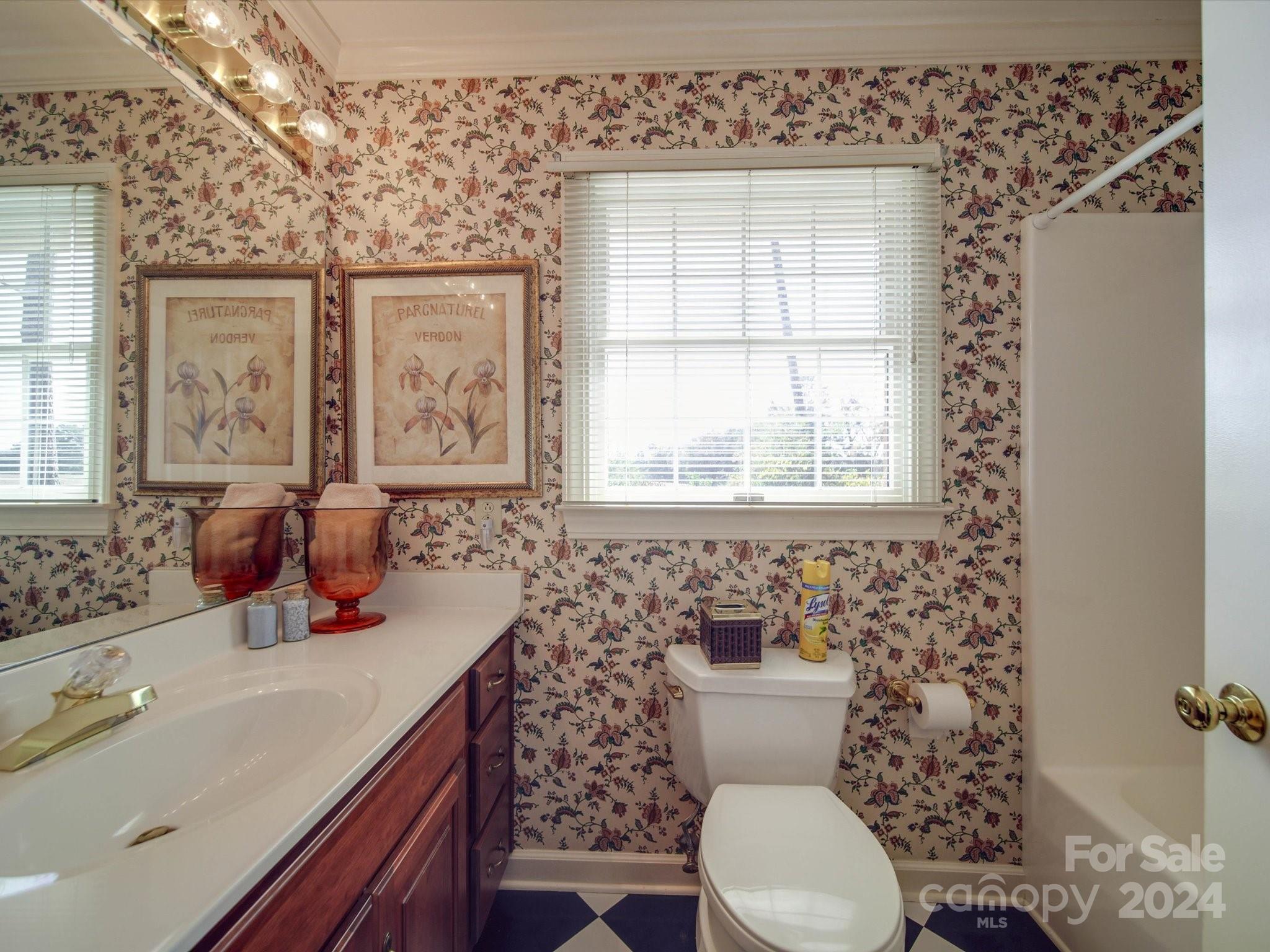 205 James Road Oakboro, NC 28129 - Photo 38 of 48 a bathroom with a sink toilet vanity and window