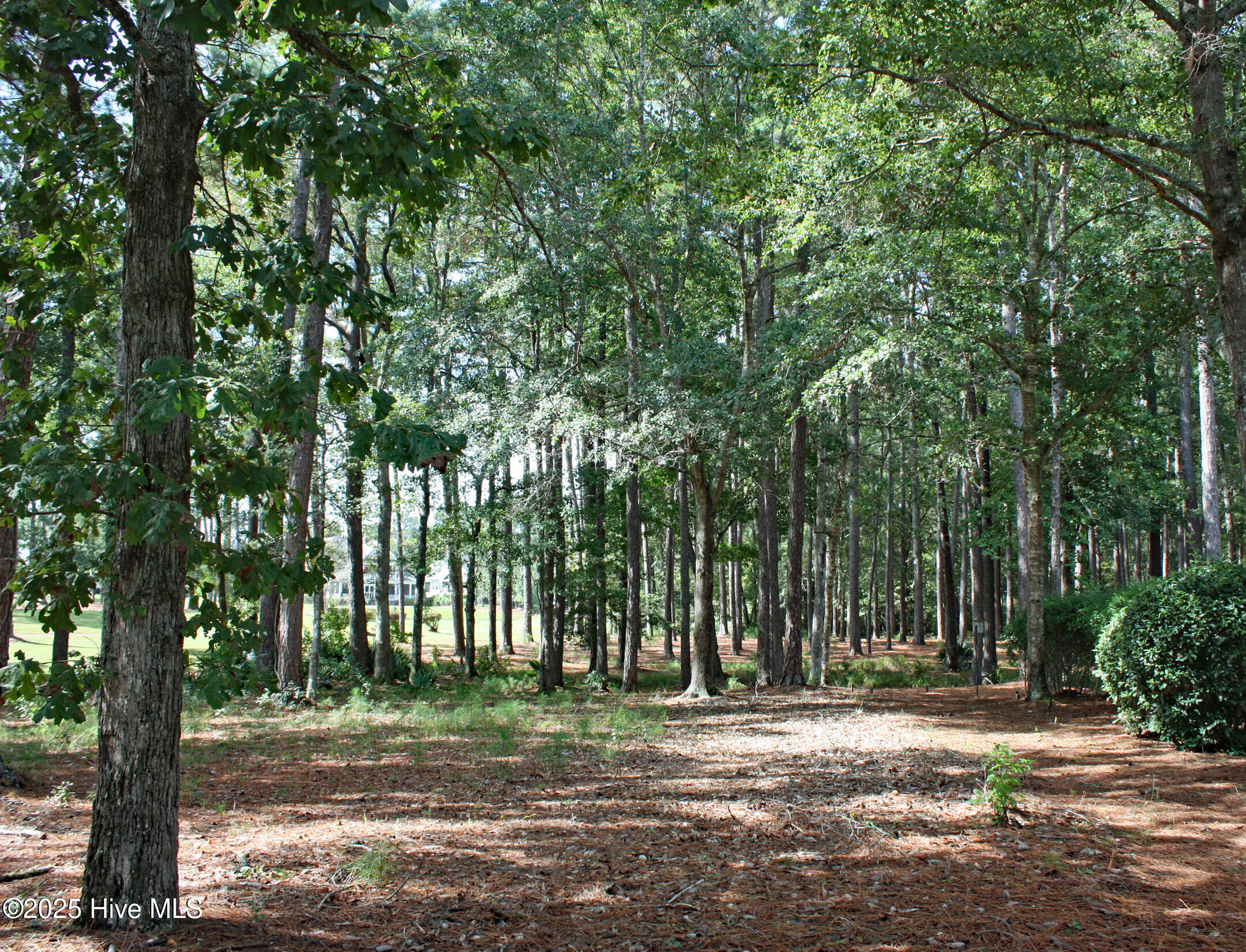 513 Cliffside Point Southwest Ocean Isle Beach, NC 28469 - Photo 2 of 25 Deep homesite on Cliffside Pt