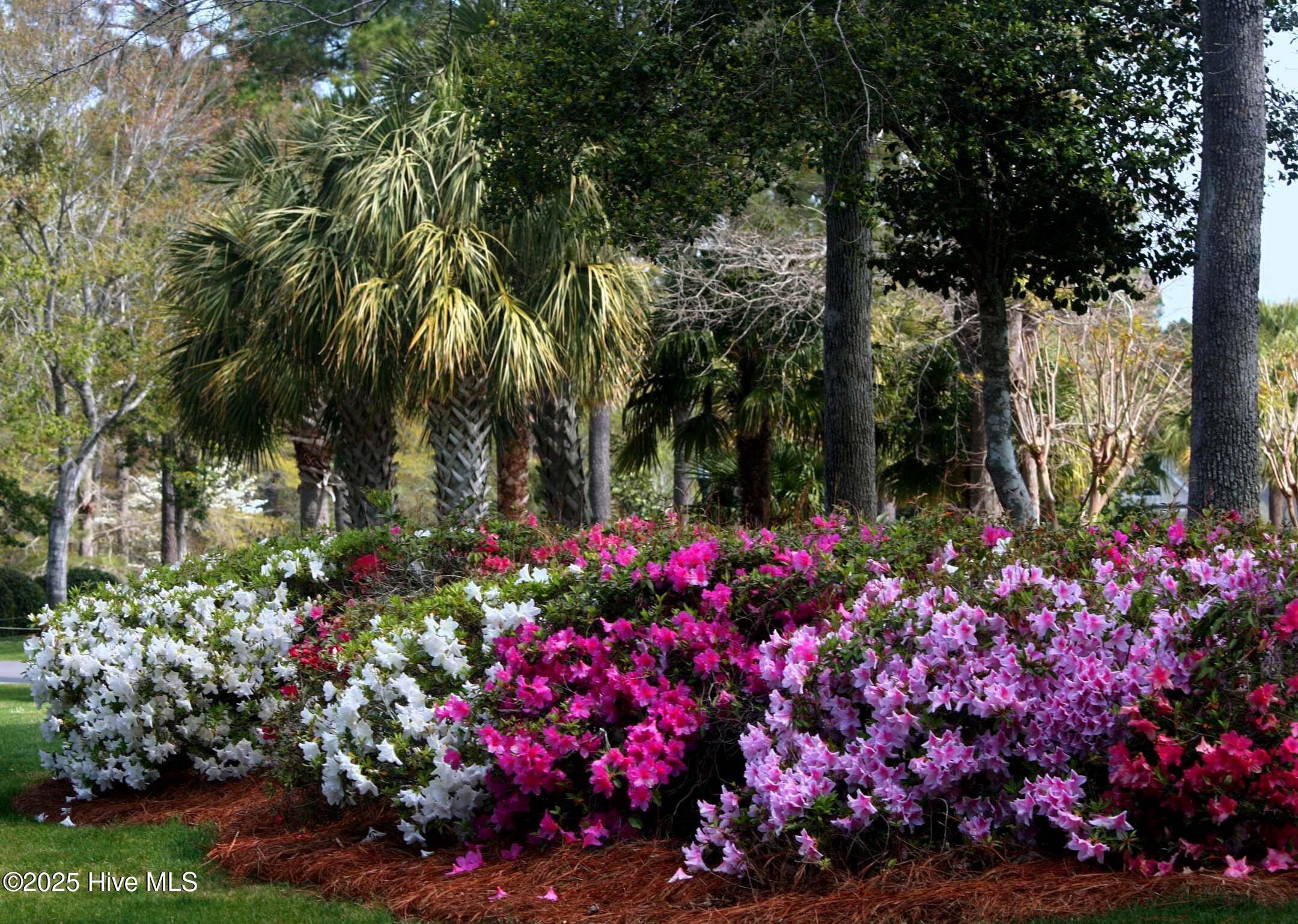 513 Cliffside Point Southwest Ocean Isle Beach, NC 28469 - Photo 21 of 25 14 Beautiful Lush Well-Maintained Ground