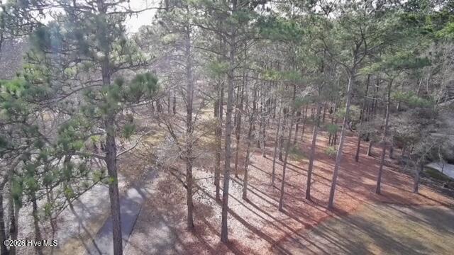 513 Cliffside Point Southwest Ocean Isle Beach, NC 28469 - Photo 23 of 25 Drone 2