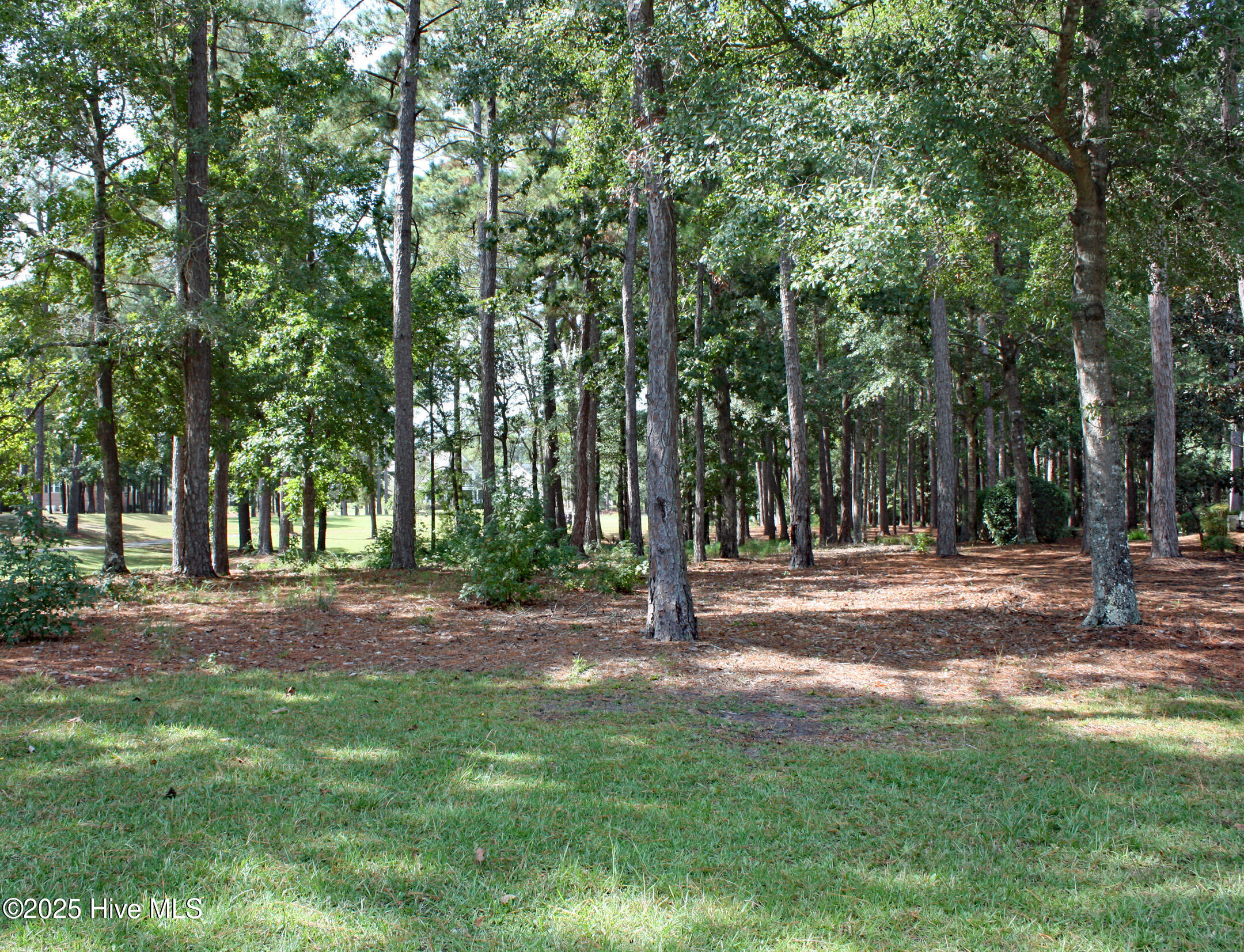 513 Cliffside Point Southwest Ocean Isle Beach, NC 28469 - Photo 6 of 25 Golf Course Homesite