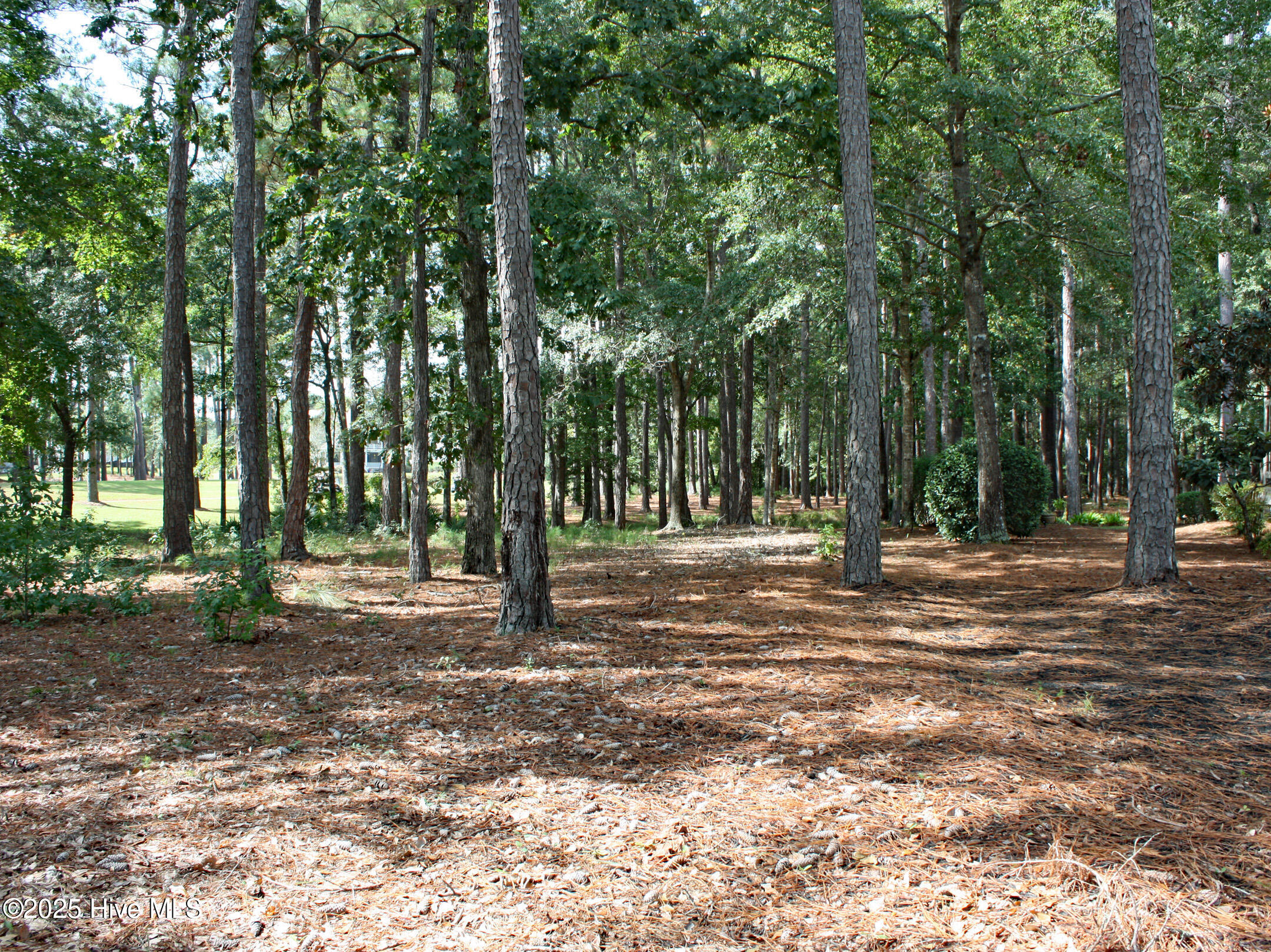 513 Cliffside Point Southwest Ocean Isle Beach, NC 28469 - Photo 7 of 25 Wooded Homesite on Panther's Run