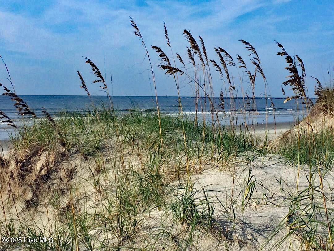 513 Cliffside Point Southwest Ocean Isle Beach, NC 28469 - Photo 9 of 25 Beach Dunes