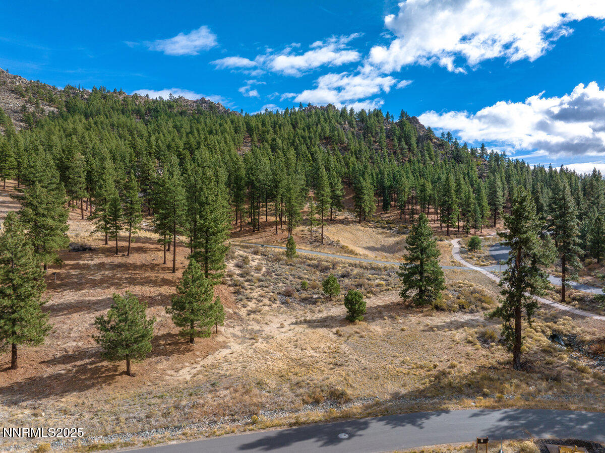 569 Headwaters Way Carson City, NV 89705 - Photo 15 of 21 a view of a yard with mountain view