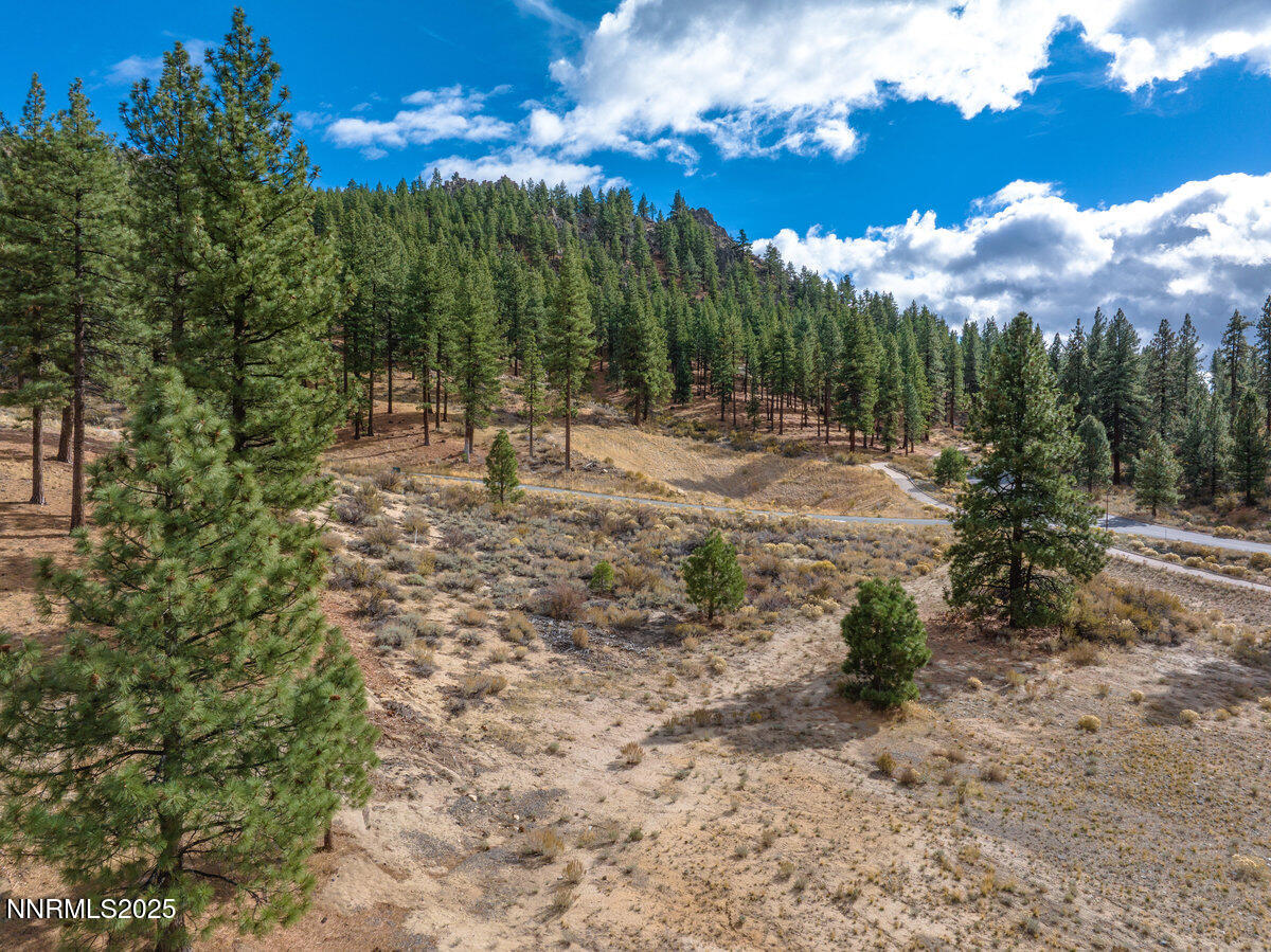 569 Headwaters Way Carson City, NV 89705 - Photo 17 of 21 a view of a yard with mountain view