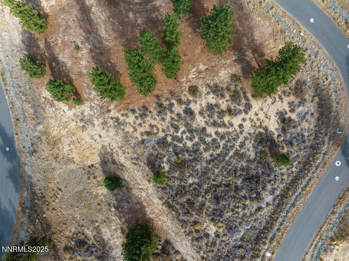 569 Headwaters Way Carson City, NV 89705 - Photo 2 of 21 a view of a dry yard with lots of trees