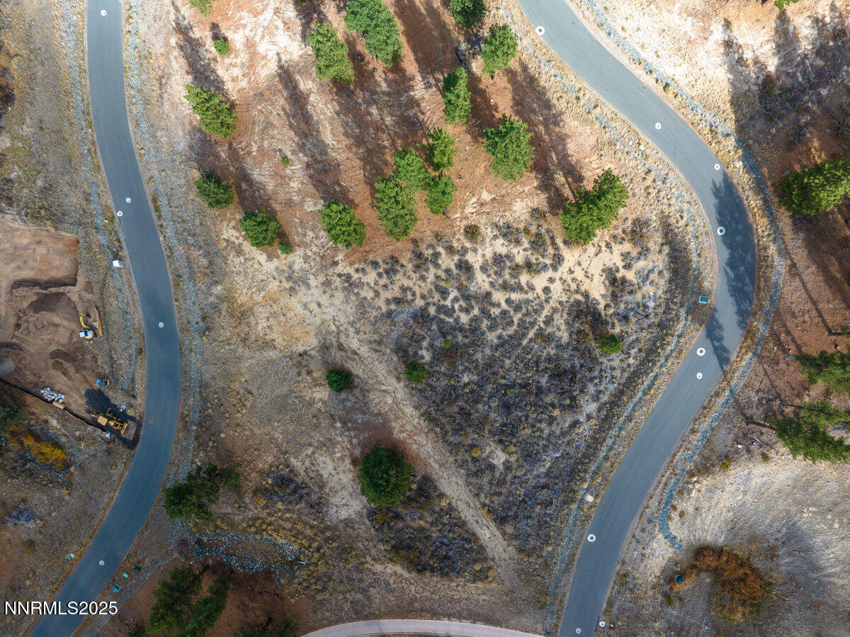 569 Headwaters Way Carson City, NV 89705 - Photo 3 of 21 a view of a yard with plants