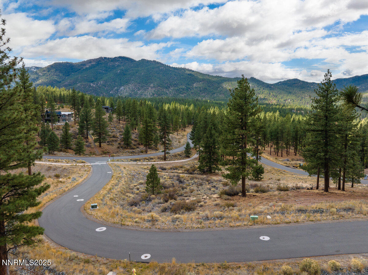 569 Headwaters Way Carson City, NV 89705 - Photo 8 of 21 a view of a yard with large tree