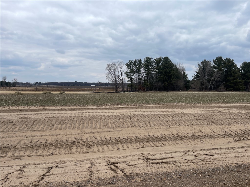 Lot #3 14th Avenue Ridgeland, WI 54763 - Photo 1 of 10