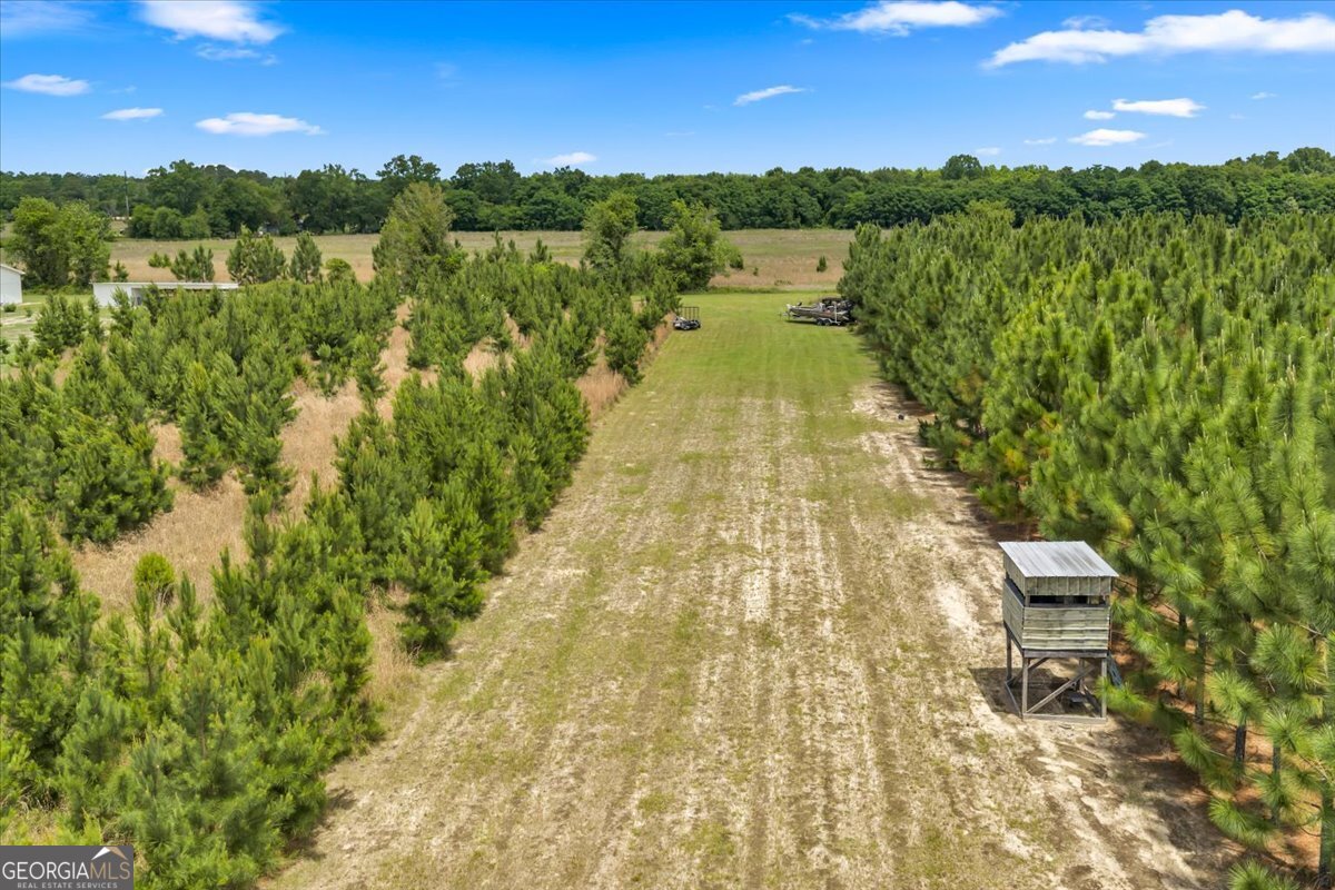 491 Pecan Road Cobb, GA 31735 - Photo 67 of 92