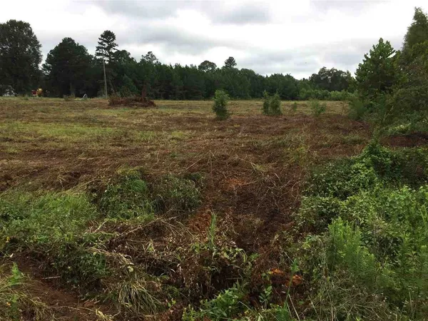 $160,000 | 0 Highway 80 Highway, Forest, MS 39074