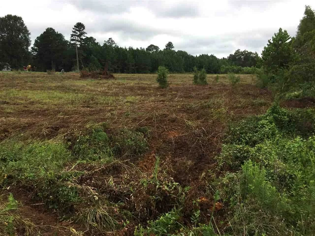 $160,000 | 0 Highway 80 Highway, Forest, MS 39074