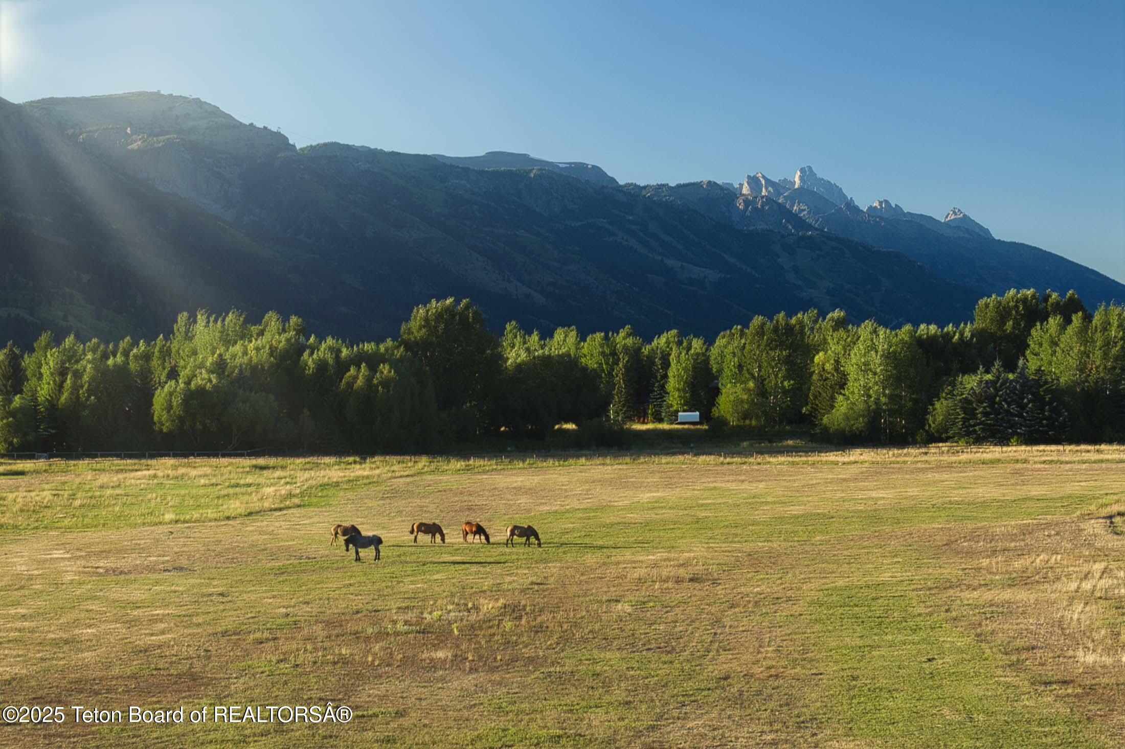 scotts22west-jackson-hole-property-445