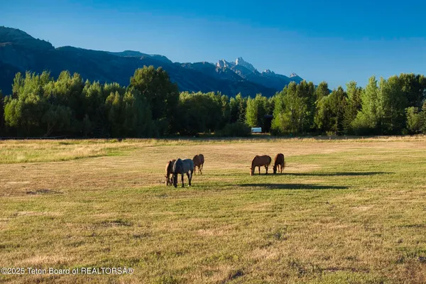 $27,950,000 | 4585 West W Highway, Wilson, WY 83014