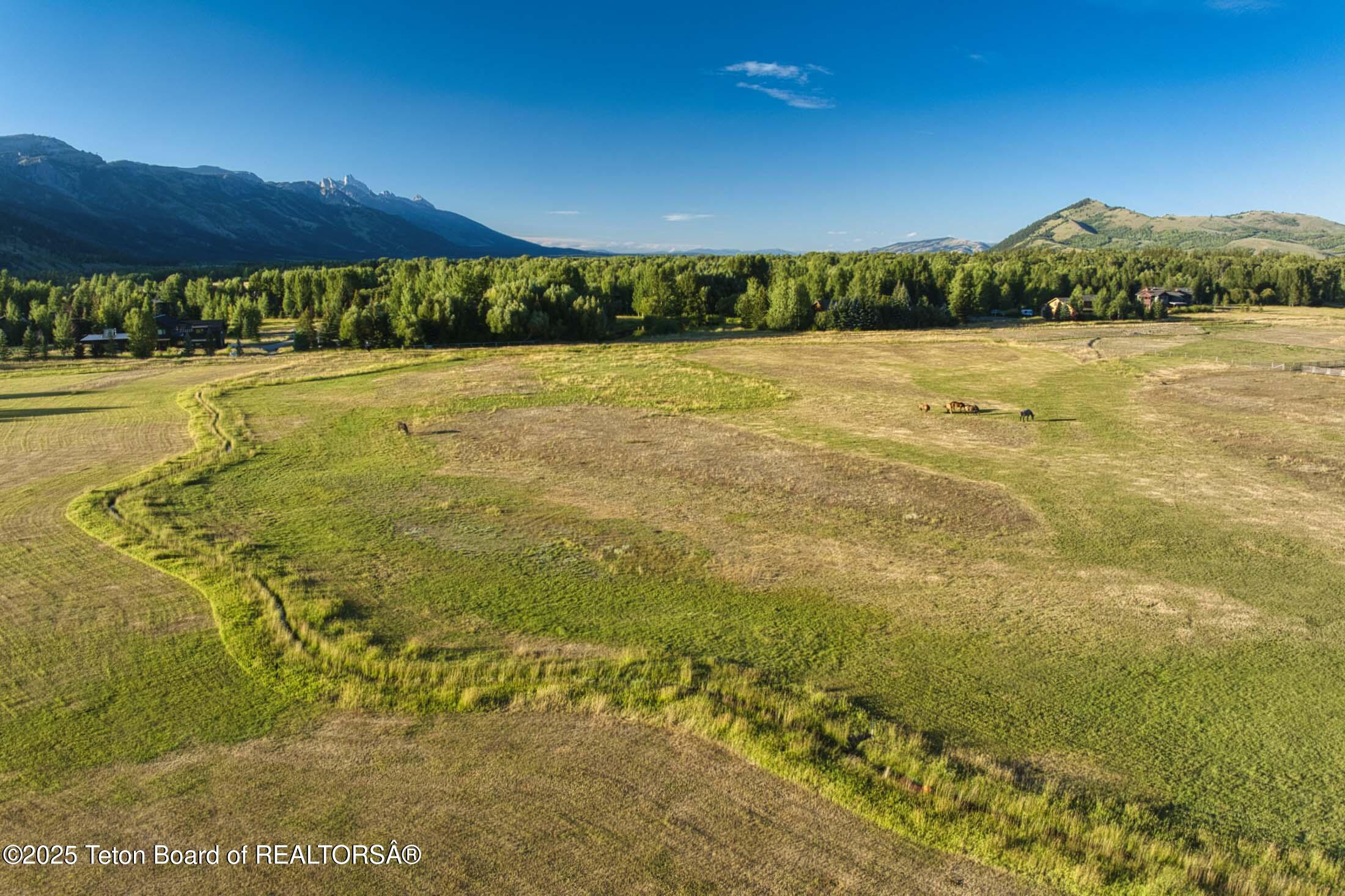 4585 West W Highway Wilson, WY 83014 - Photo 6 of 28 scotts22west-jackson-hole-property-489_H