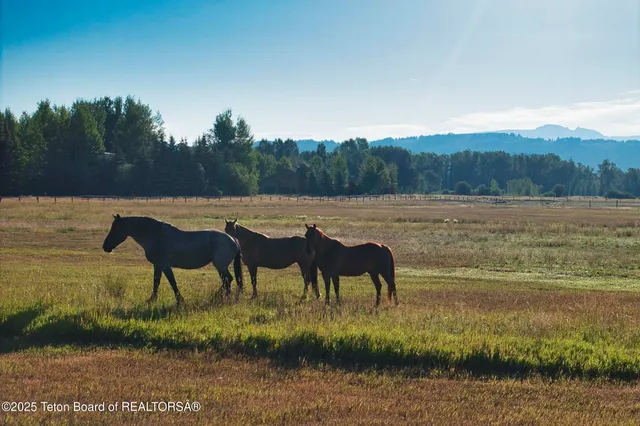 $27,950,000 | 4585 West W Highway, Wilson, WY 83014