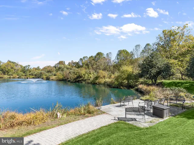 a view of a yard with plants and large trees