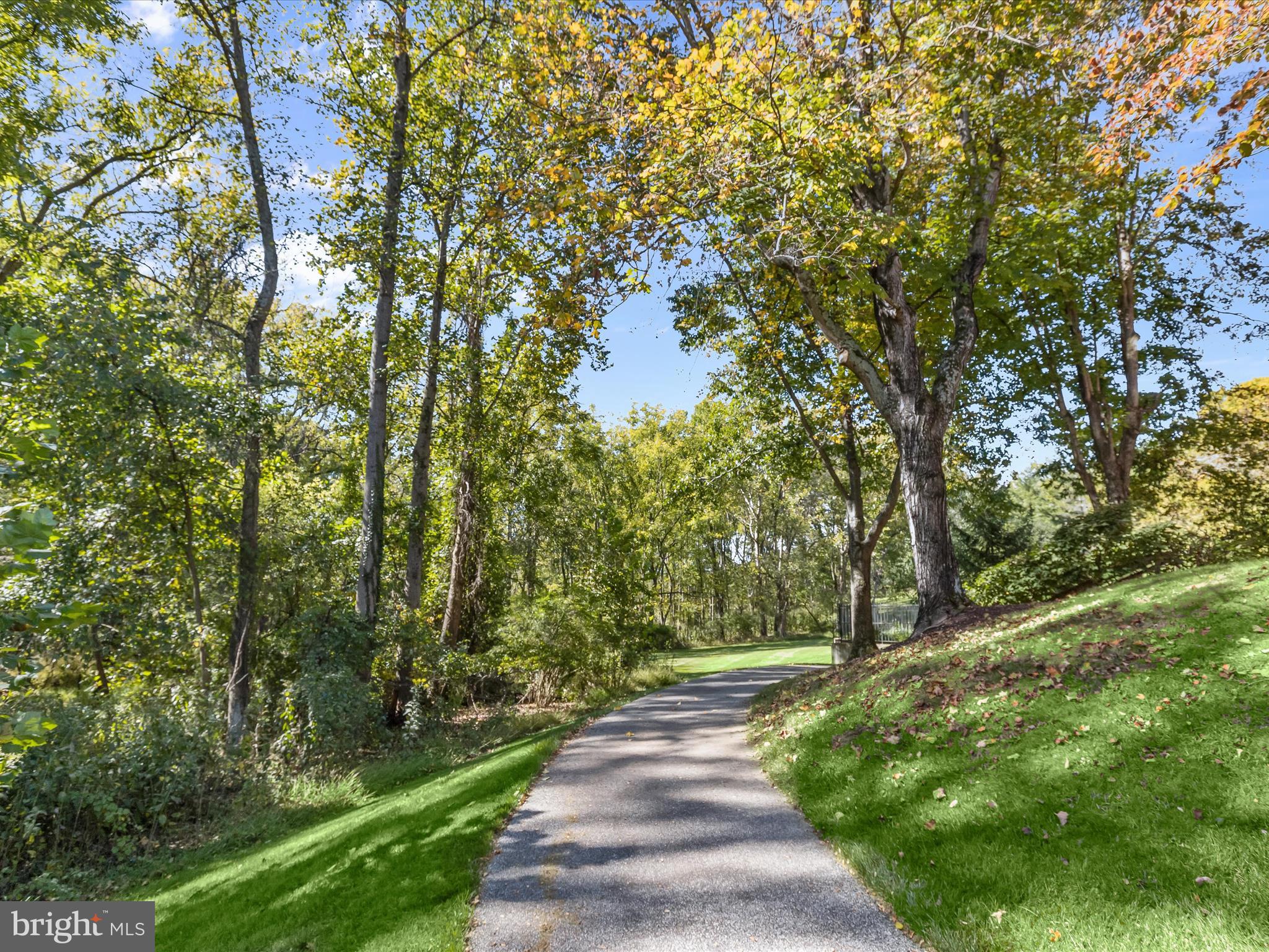 2331 Old Court Road, Unit 506 Pikesville, MD 21208 - Photo 46 of 51 a view of a yard with plants and large trees