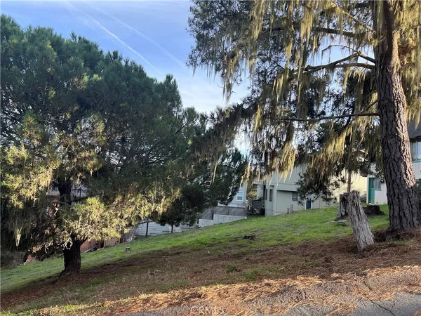 a view of a tree in front of a house