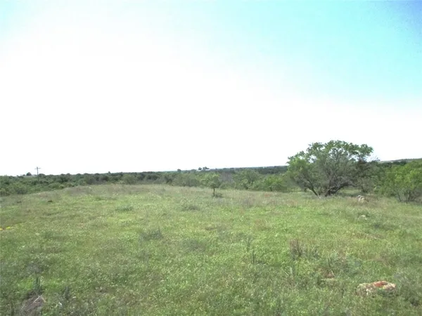 a view of a field with trees in the background