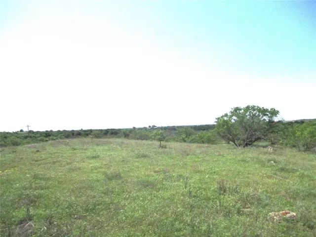 a view of a field with trees in the background