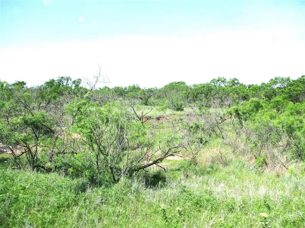 a view of a lush green field