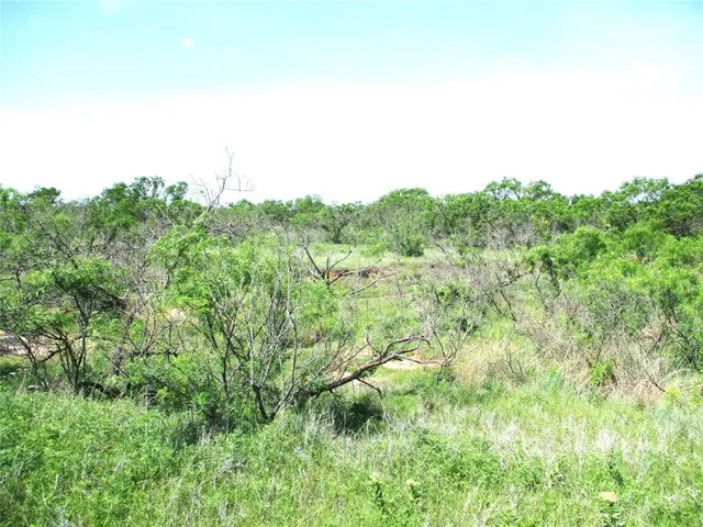 a view of a lush green field