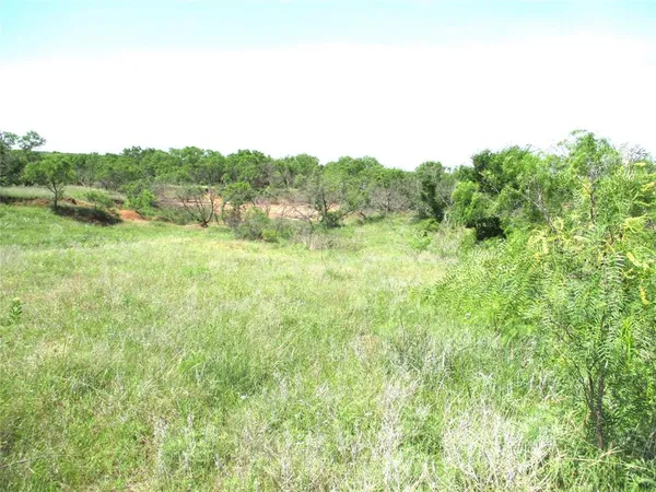 a view of a field of grass and trees